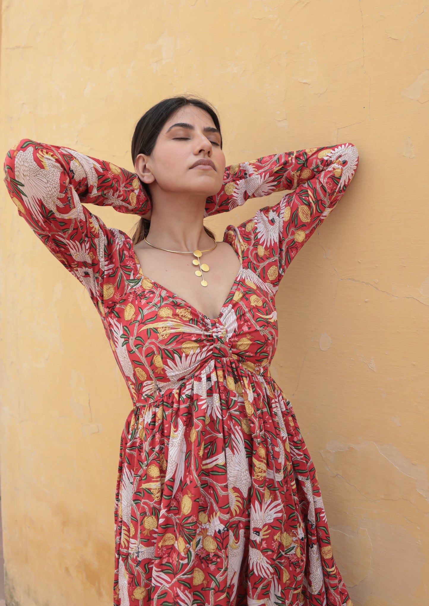 Bird print red full sleeves midi dress