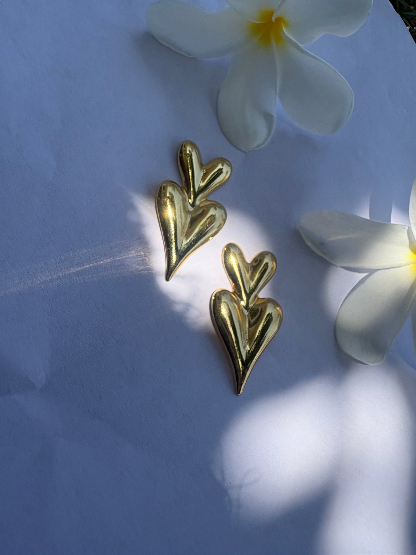 Dual Heart Earrings Moonstruck