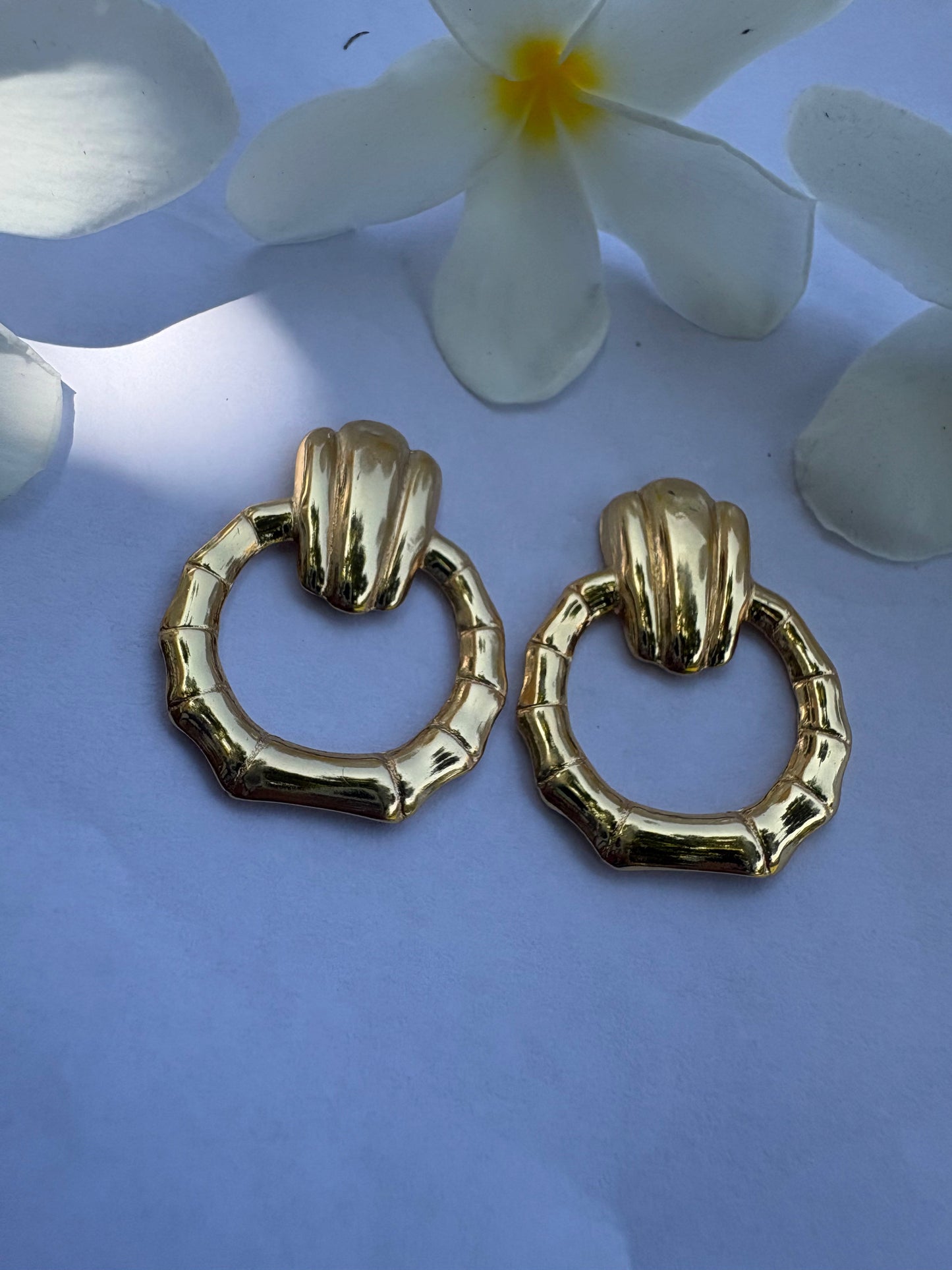 Golden Loop Earrings Moonstruck