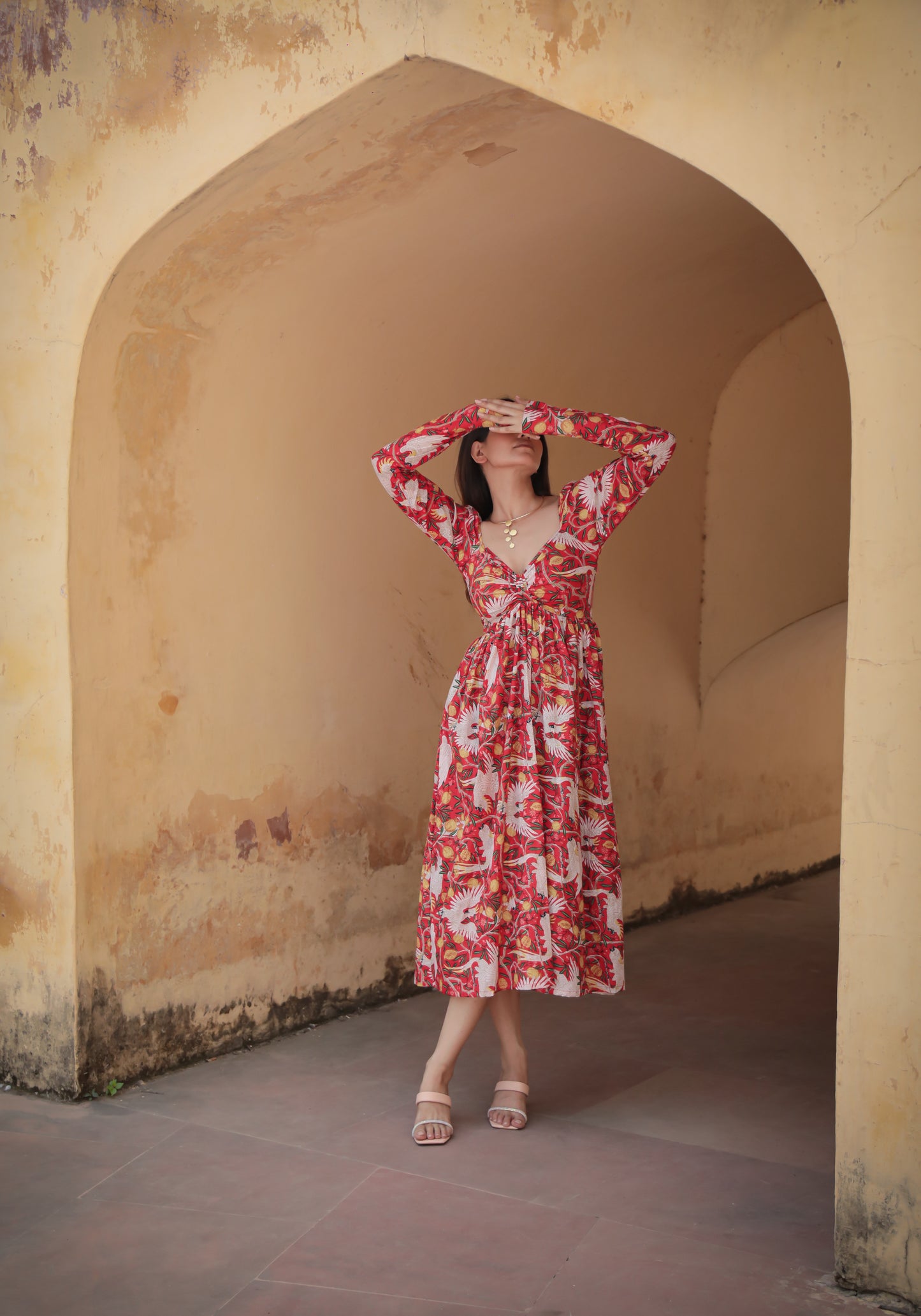 Bird print red full sleeves midi dress