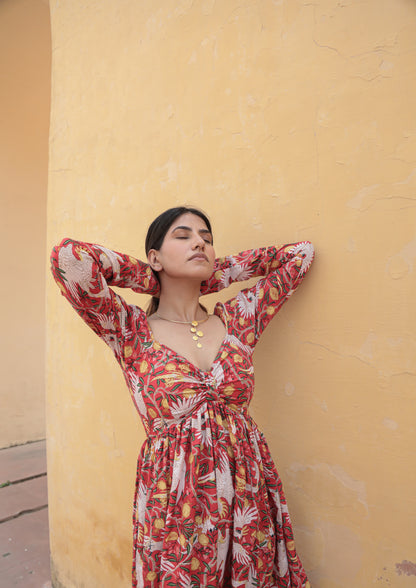 Bird print red full sleeves midi dress