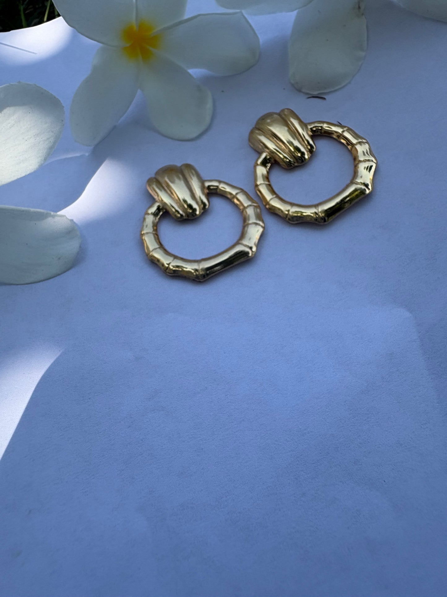 Golden Loop Earrings