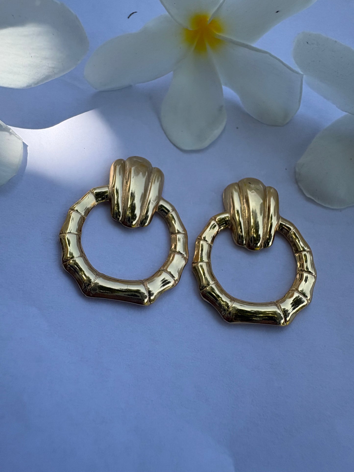 Golden Loop Earrings