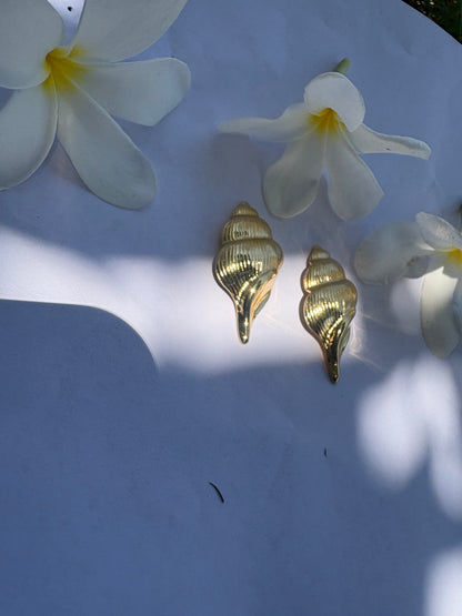 New Shell Statement Earrings