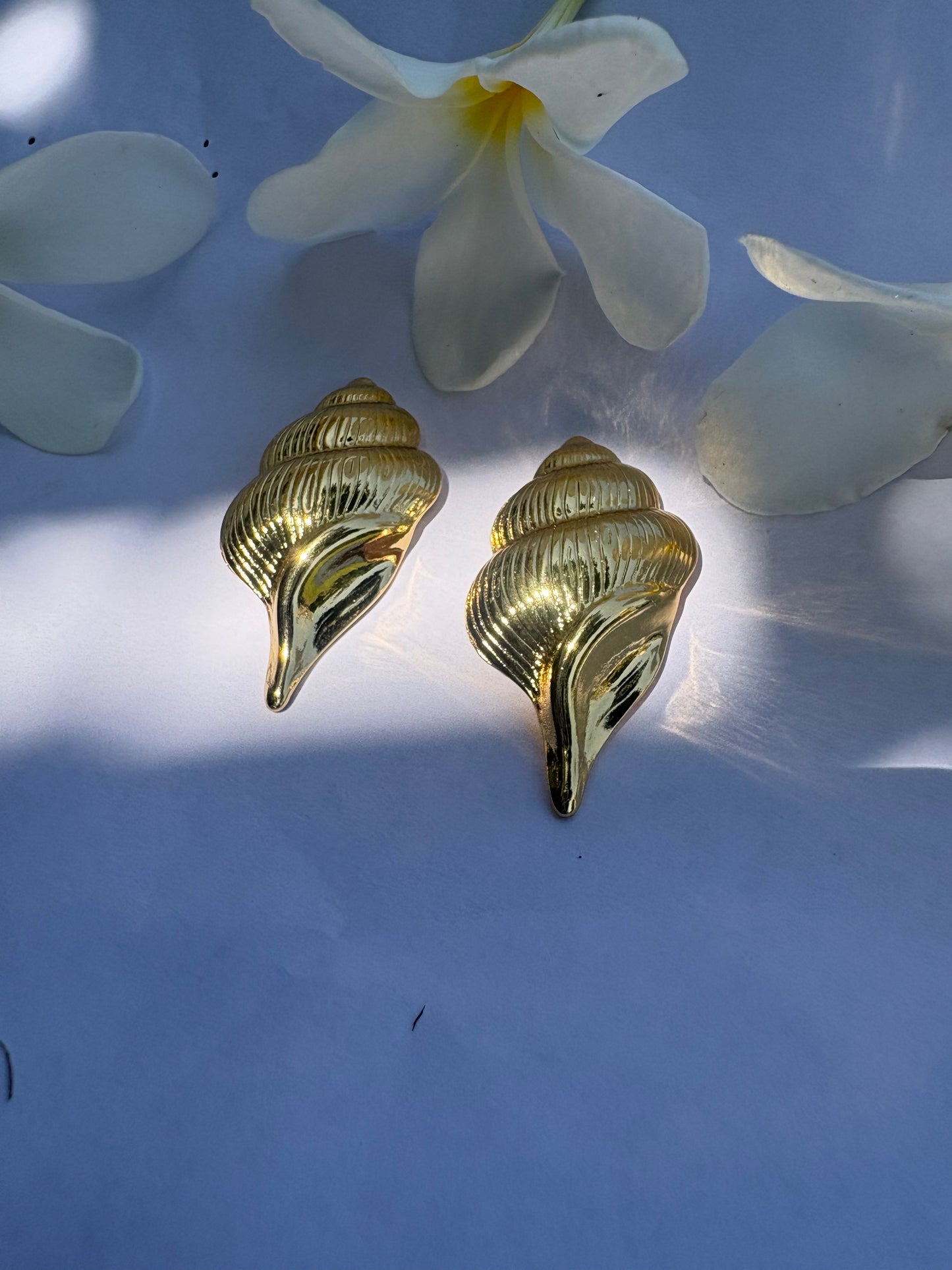 New Shell Statement Earrings