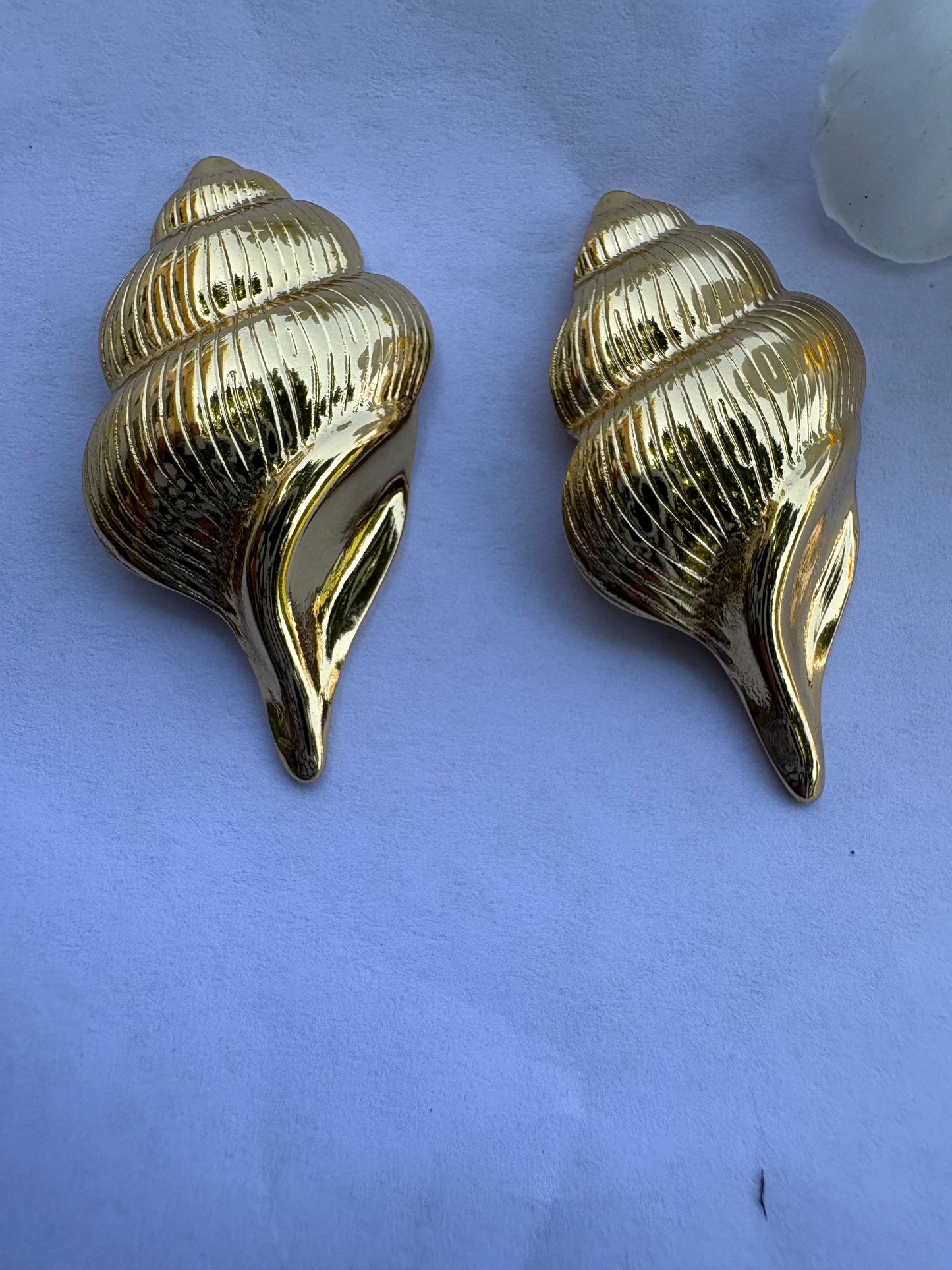 New Shell Statement Earrings