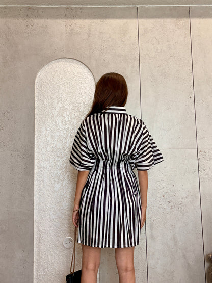 Monochrome Striped Flare Shirt Dress