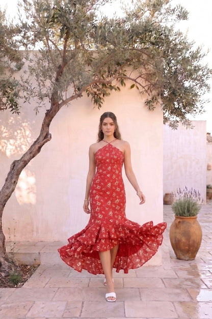 Senorita Halter Maxi Dress – Red Floral